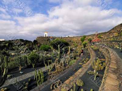 Cactus Garden on Lanzarote
