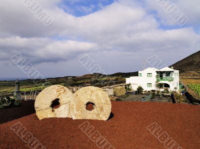 Cactus Garden on Lanzarote
