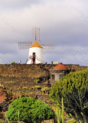 Cactus Garden on Lanzarote