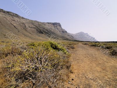 Famara Cliffs on Lanzarote