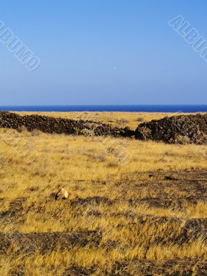 Lanzarote, Canary Islands