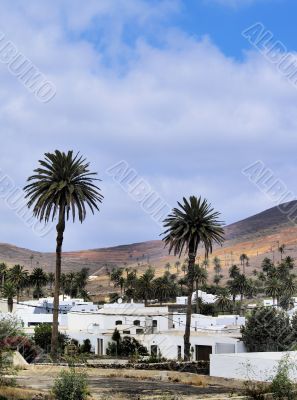 Haria, Lanzarote