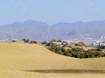 Maspalomas Dunes