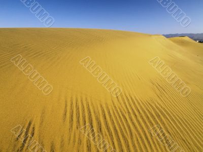 Maspalomas Dunes