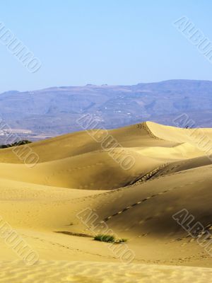 Maspalomas Dunes