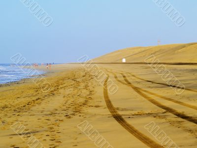 Maspalomas Dunes