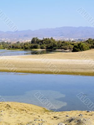 Maspalomas Dunes