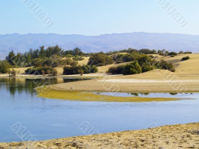Maspalomas Dunes