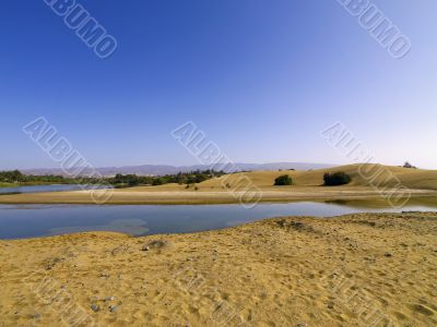 Maspalomas Dunes