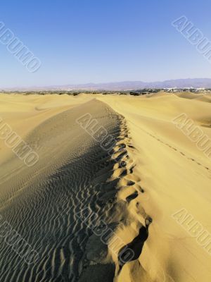 Maspalomas Dunes
