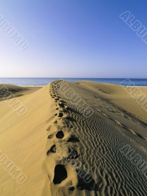 Maspalomas Dunes