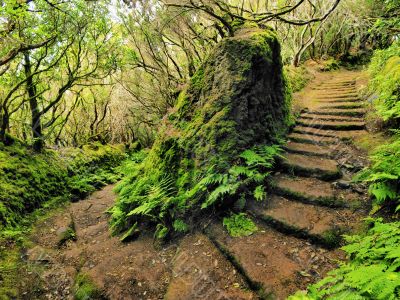Anaga, Tenerife