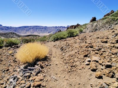 Teide National Park
