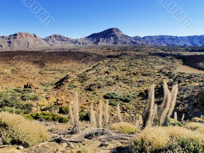 Teide National Park