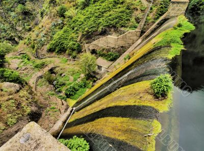 Garajonay National Park