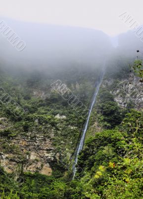 Garajonay National Park