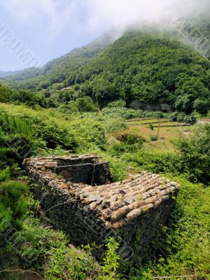 Garajonay National Park