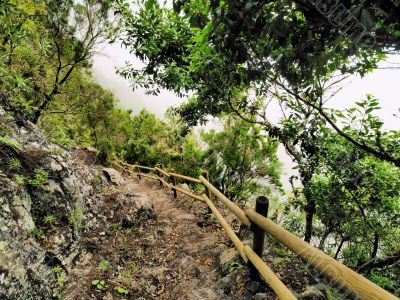 Garajonay National Park