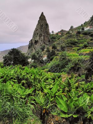 Hermigua on Gomera