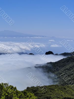 View from Mount of Garajonay on Gomera