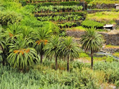 Hermigua on Gomera