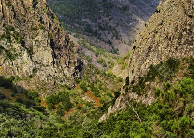 The Rocks on Gomera