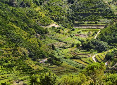 Vallehermoso on Gomera