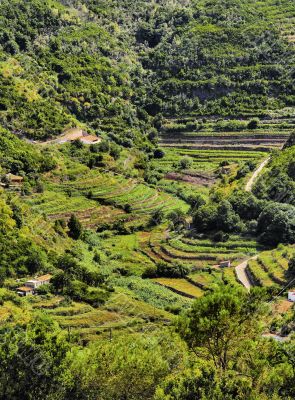 Vallehermoso on Gomera