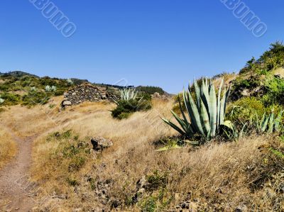 Gomera