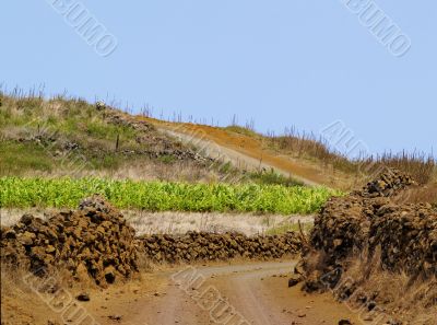 Road on Hierro