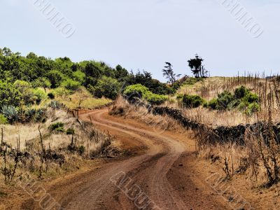 Road on Hierro