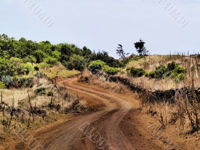 Road on Hierro