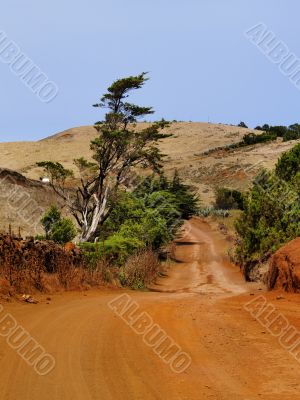 Road on Hierro