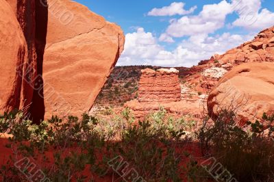 Red Desert