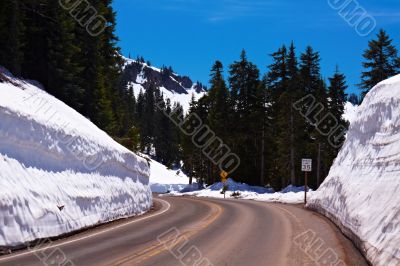Winter Winding Road