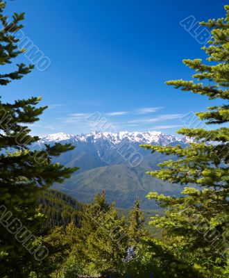 Mountain Landscape