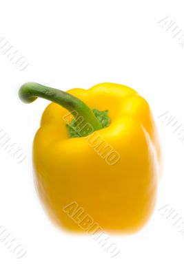 fresh yellow bell pepper