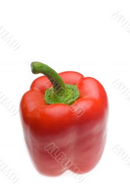 fresh red bell pepper