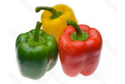 fresh bell peppers