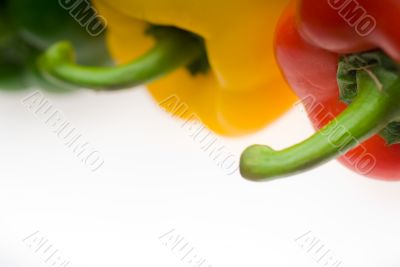 fresh bell peppers