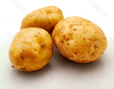 Potatos