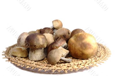 Mushrooms in a wicker dish on a white background.