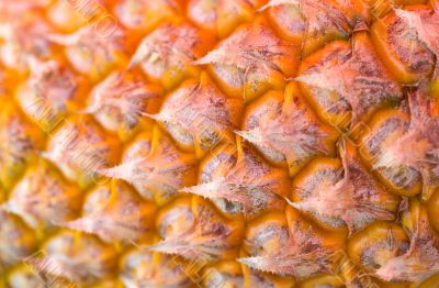 Detail pineapple close-up