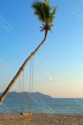 Empty swing hanging from a tree on romantic