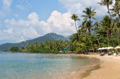 tropical beach, palm trees