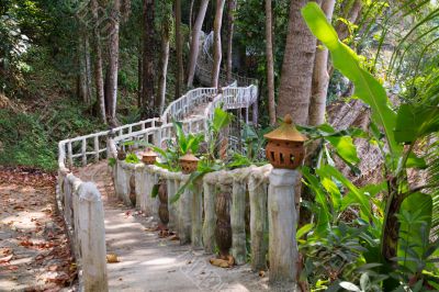 walking bridge in the jungle