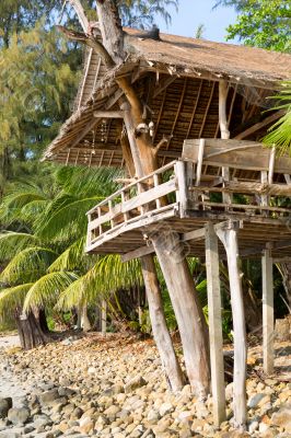 Jungle accommodation