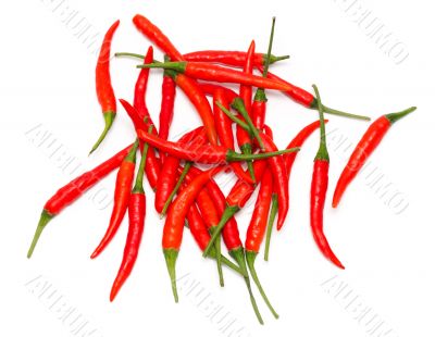 Red chili peppers
