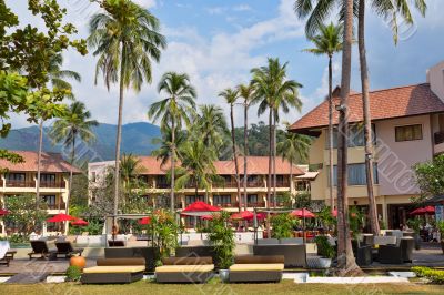 tropical hotel c palms
