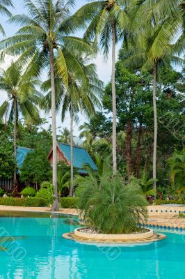 tropical swimming pool